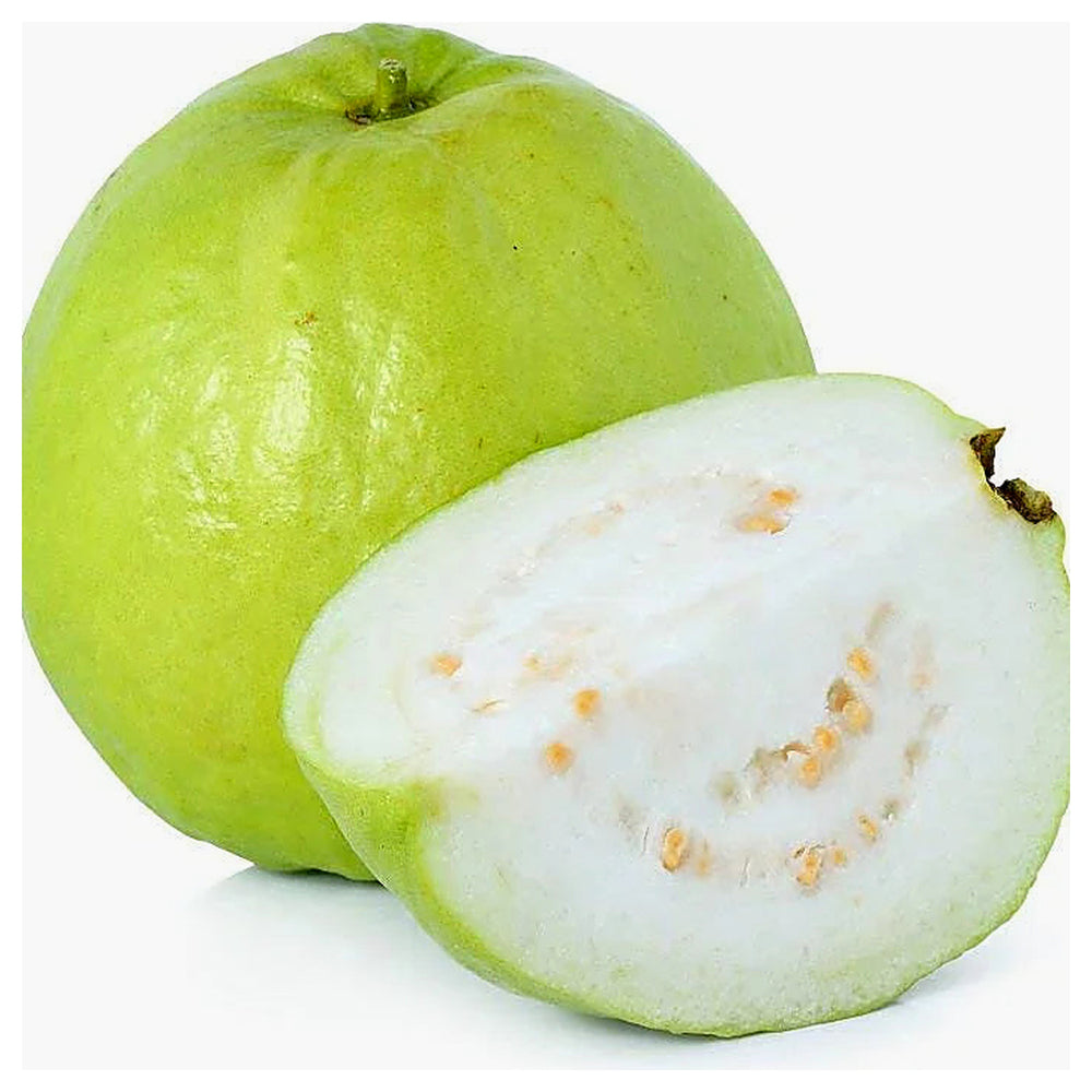 Allahabad Guava Fruit Seeds for Planting – Heirloom, Non-GMO, High Germination Organic Seeds for Sweet Tropical Har | Neera Seeds product photo [neera-v4-1033dde09cca376e84fe]