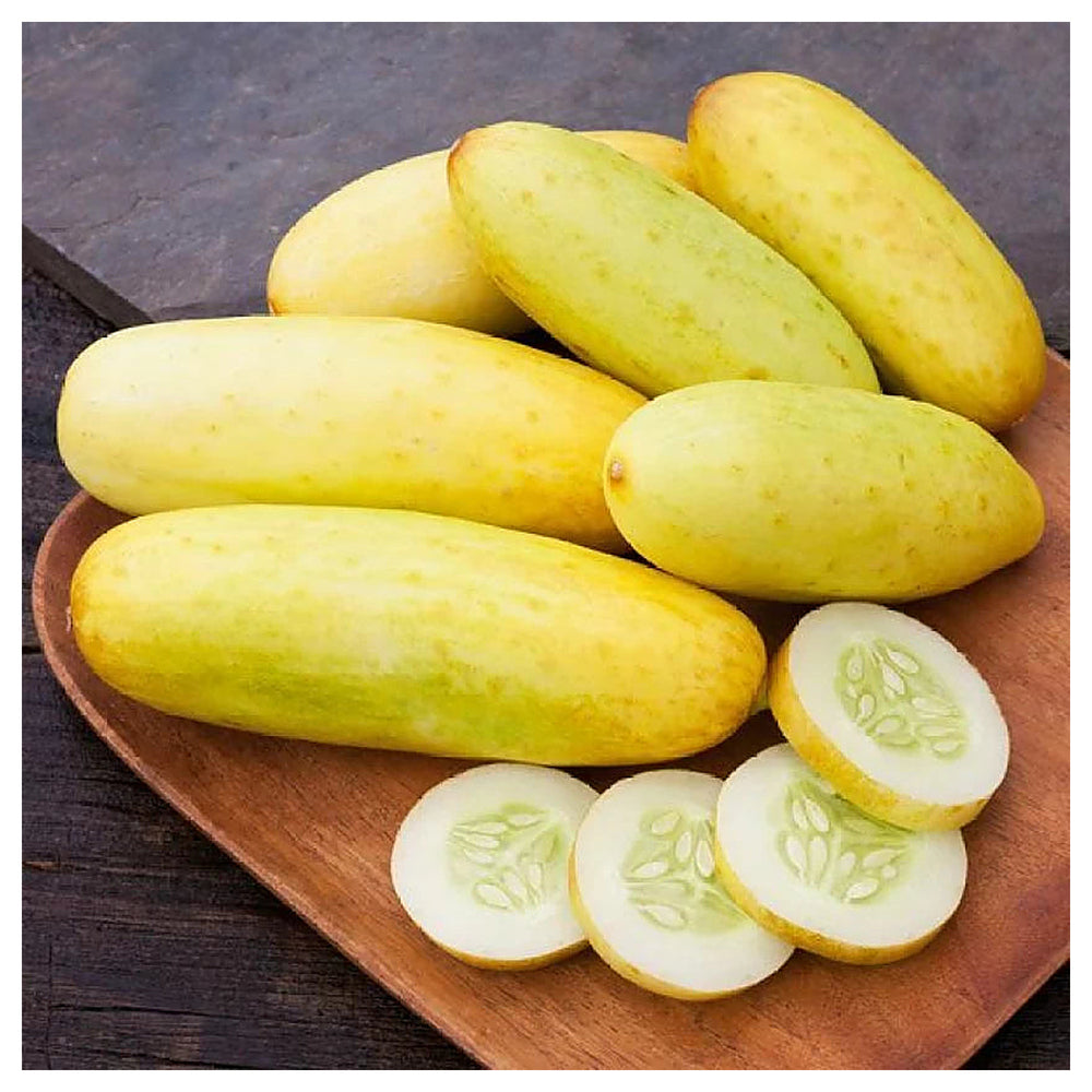 Heirloom Cucumber Grape Jelly Seeds for Planting – Non-GMO, High Germination, Organic Vegetable Garden Seeds | Neera Seeds product photo [neera-v4-10fe01765063aa396178]