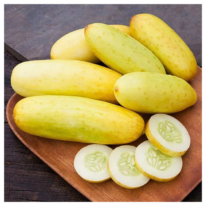 Heirloom Cucumber Grape Jelly Seeds for Planting – Non-GMO, High Germination, Organic Vegetable Garden Seeds | Neera Seeds product photo [neera-v4-10fe01765063aa396178]