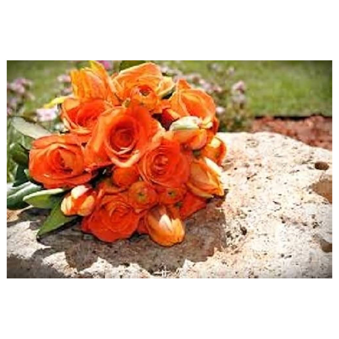 Orange Eustoma (Lisianthus) Flower Seeds for Planting – Heirloom, Non-GMO, High Germination Elegant Bloom Garden Se | Neera Seeds product photo [neera-v4-1220921dd39396ee6d19]