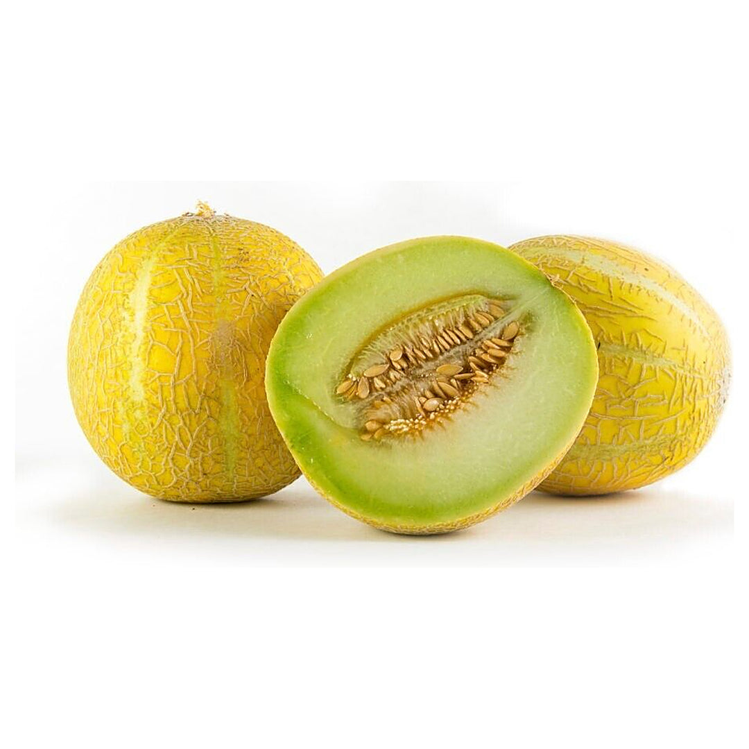 Lemon Drop Melon Seeds for Planting – Sweet, Citrusy Heirloom Non-GMO Seeds for Your Garden | Neera Seeds product photo [neera-v4-128baecf71642097fed1]