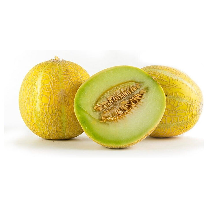 Lemon Drop Melon Seeds for Planting – Sweet, Citrusy Heirloom Non-GMO Seeds for Your Garden | Neera Seeds product photo [neera-v4-128baecf71642097fed1]
