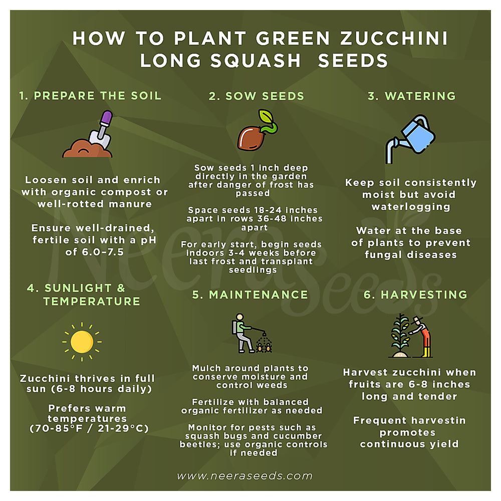 Green Round Zucchini Squash Seeds for Planting – Heirloom, Non-GMO, High-Yield Summer Vegetable Seeds | Neera Seeds product photo [neera-v4-149a80e4801c4d730cf6]