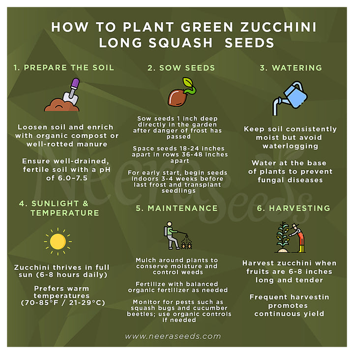 Green Round Zucchini Squash Seeds for Planting – Heirloom, Non-GMO, High-Yield Summer Vegetable Seeds | Neera Seeds product photo [neera-v4-149a80e4801c4d730cf6]