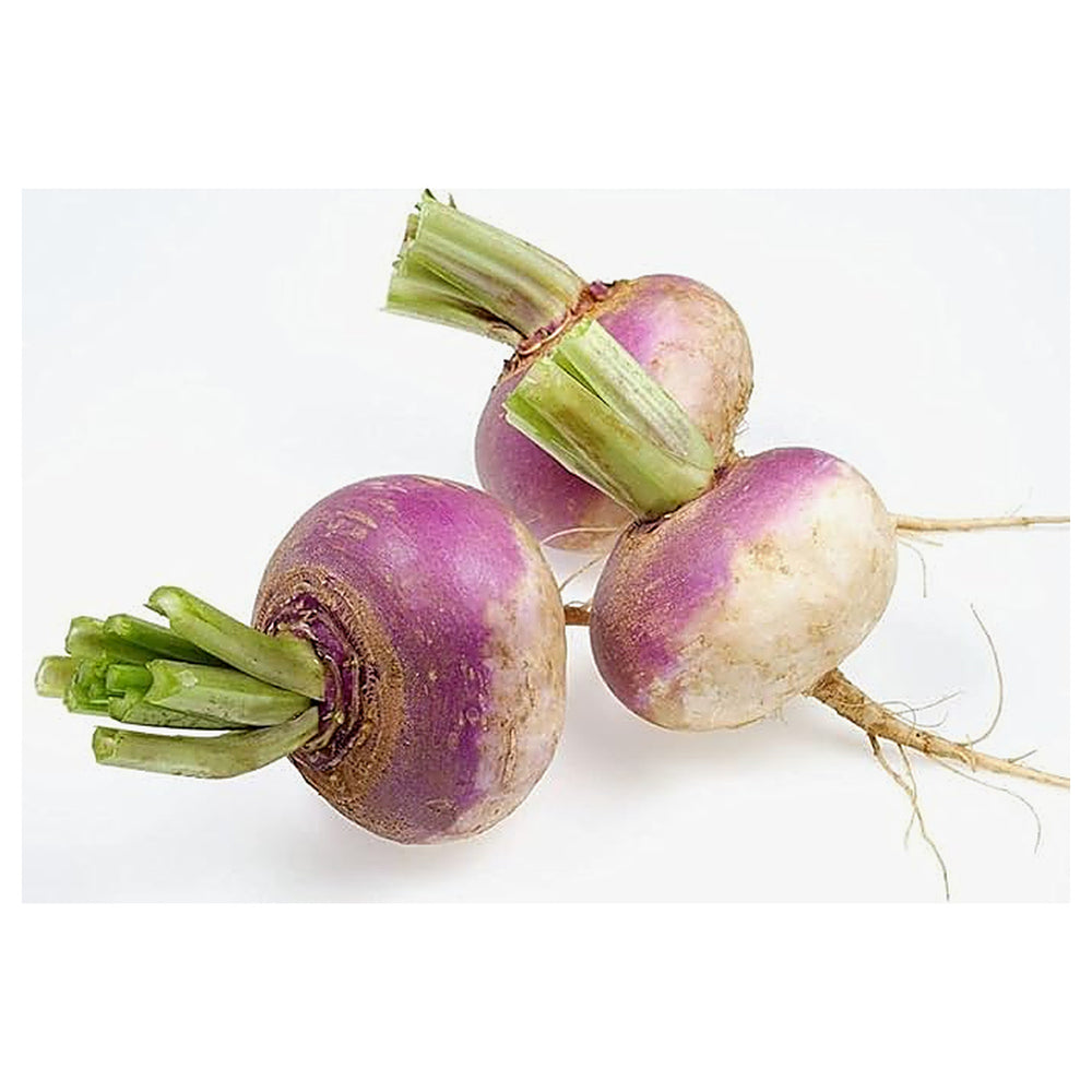 Turnip Şalgam Vegetable Seeds for Planting – Heirloom Non-GMO Organic Garden Seeds, High Germination | Neera Seeds product photo [neera-v4-14d3332426d83bd172bc]
