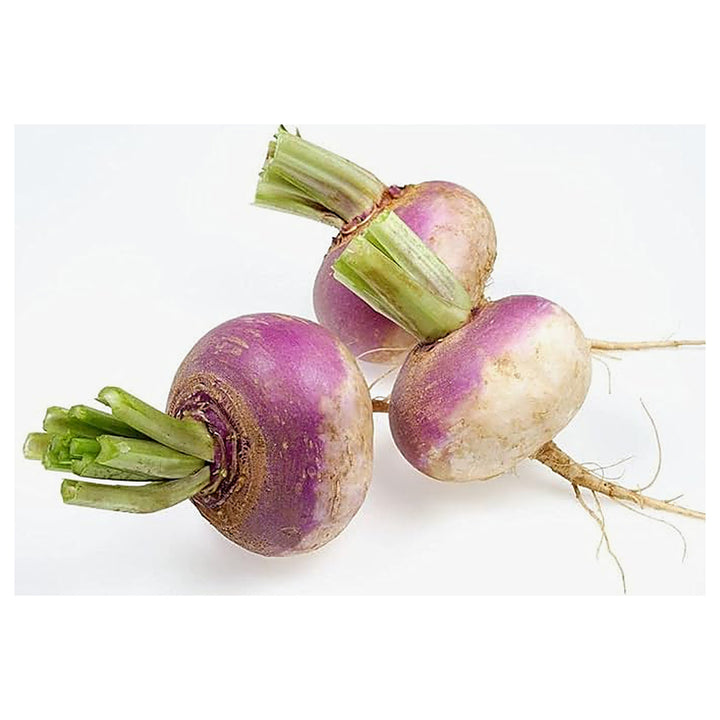 Turnip Şalgam Vegetable Seeds for Planting – Heirloom Non-GMO Organic Garden Seeds, High Germination | Neera Seeds product photo [neera-v4-14d3332426d83bd172bc]