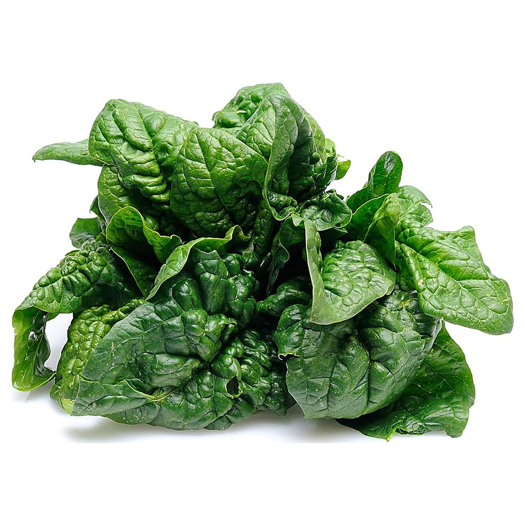 Bloomsdale Long Standing Spinach Seeds for Planting – Heirloom, Non-GMO, High Germination Organic Vegetable Seeds | Neera Seeds product photo [neera-v4-162220705def5584db52]