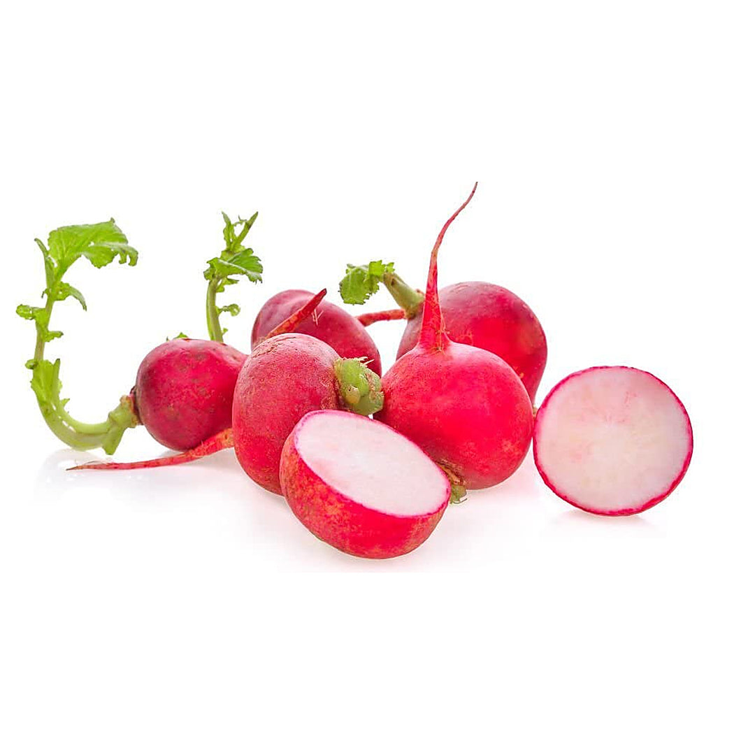 Radish Seeds for Planting Red – Heirloom Non-GMO Organic Garden Seeds, High Germination | Neera Seeds product photo [neera-v4-17953a4d717c1de6e66a]