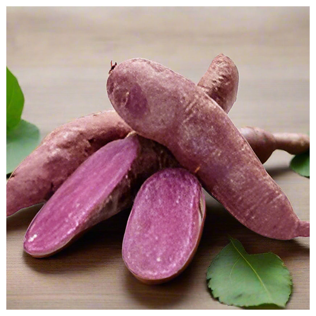 Light Violet Sweet Potato Seeds for Planting – Heirloom, Non-GMO Organic Garden Seeds | Neera Seeds product photo [neera-v4-1841e8bb51e6c45b1b63]