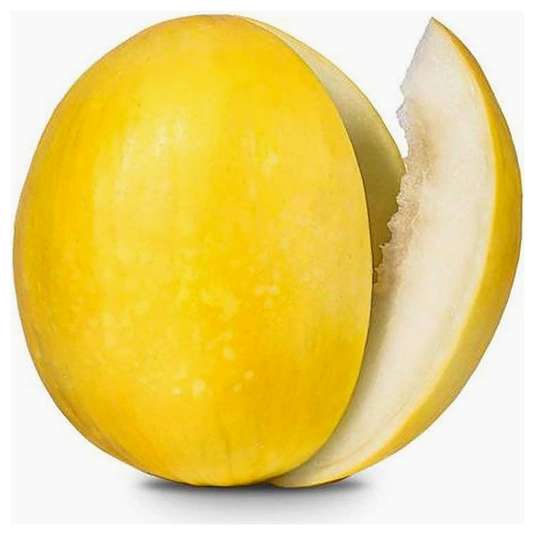 Yellow Cantaloupe Fruit Seeds for Planting – Heirloom, Non-GMO, High Germination Organic Garden Seeds | Neera Seeds product photo [neera-v4-18f114e2b0e5037ede8f]