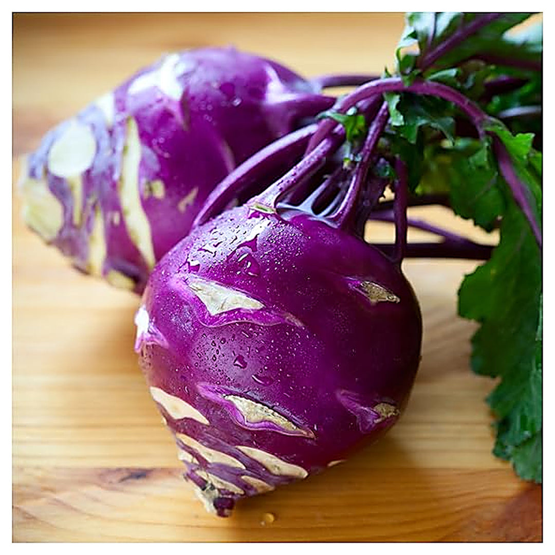 Kohlrabi Purple Vienna Seeds for Planting – Heirloom, Non-GMO, Fast-Growing Cool-Season Vegetable | Neera Seeds product photo [neera-v4-1aed06131bf27c5314cb]