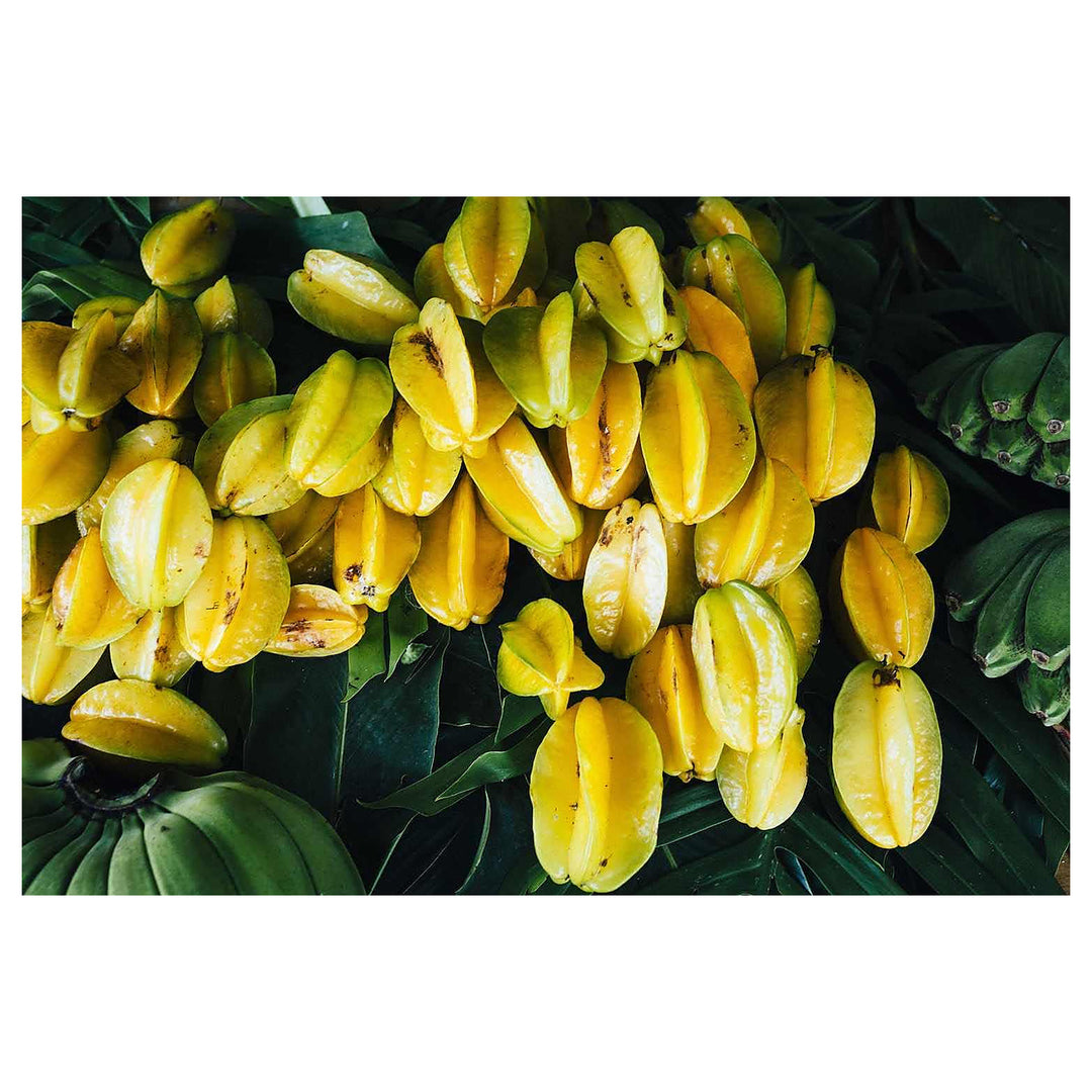 Averrhoa Seeds – Grow Exotic &amp; Tangy Fruit Trees | Neera Seeds product photo [neera-v4-1bd2e89b22d91afd6410]