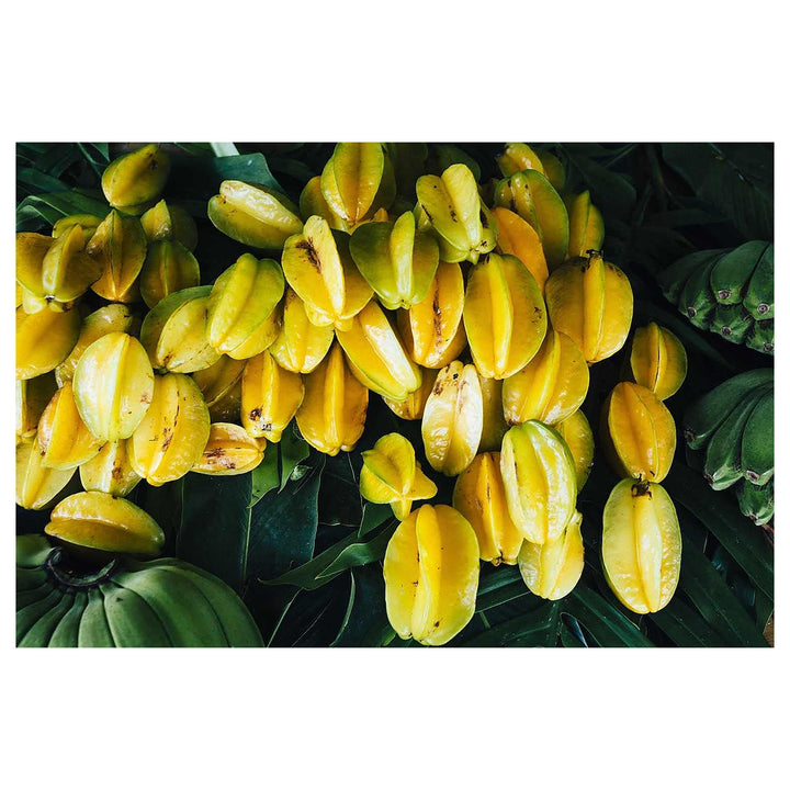 Averrhoa Seeds – Grow Exotic &amp; Tangy Fruit Trees | Neera Seeds product photo [neera-v4-1bd2e89b22d91afd6410]