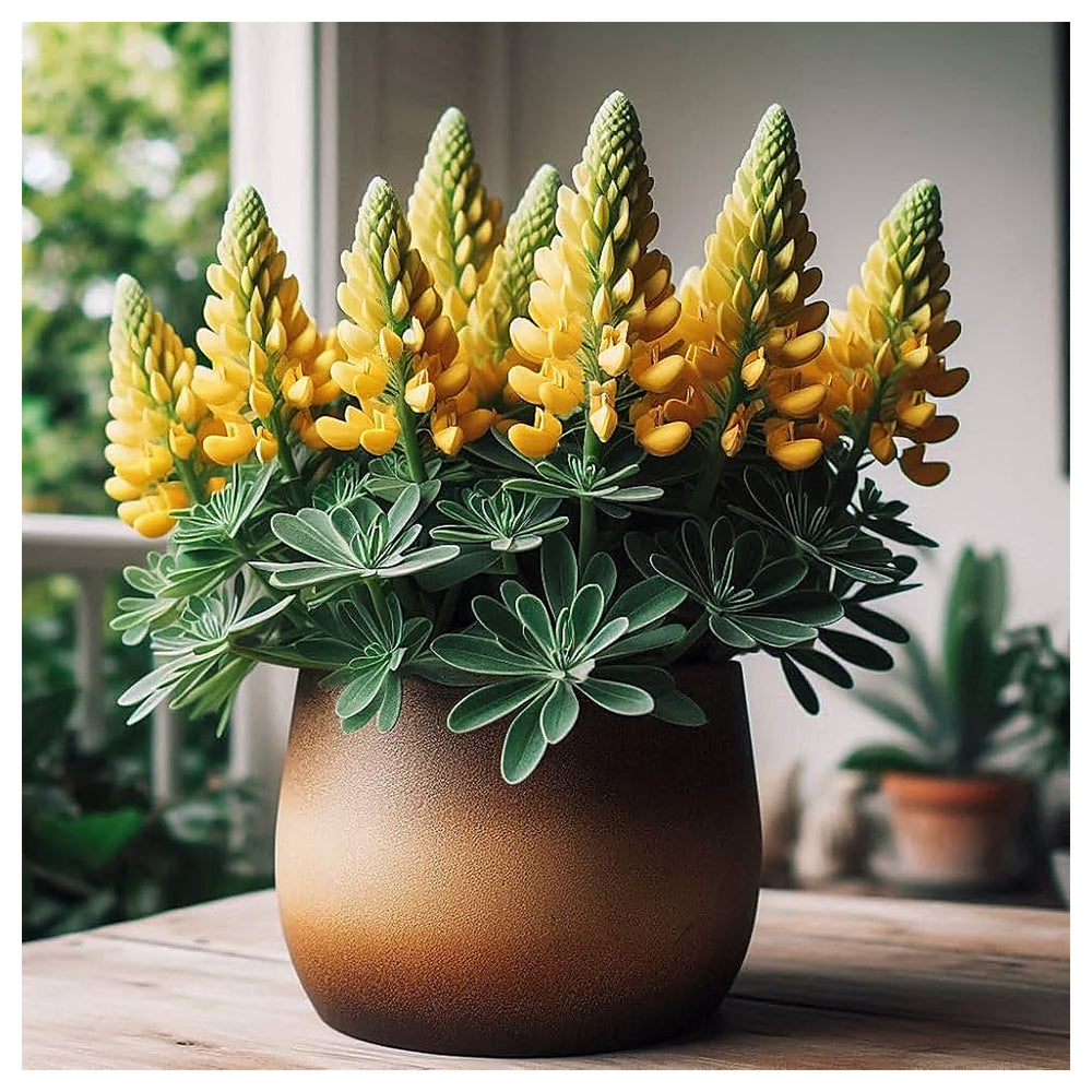 Heirloom Non-GMO Yellow Bonnets Flower Seeds for Planting – Bright Wildflower Blooms for Cottage Gardens | Neera Seeds product photo [neera-v4-1ce6987190a4547f1139]