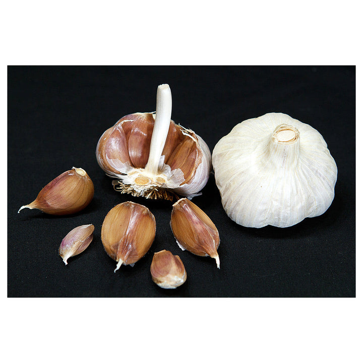 Brown Black Garlic Vegetable Seeds for Planting – Heirloom, Non-GMO, High Germination Garden Seeds | Neera Seeds product photo [neera-v4-1d497b4d89e6f1681f66]