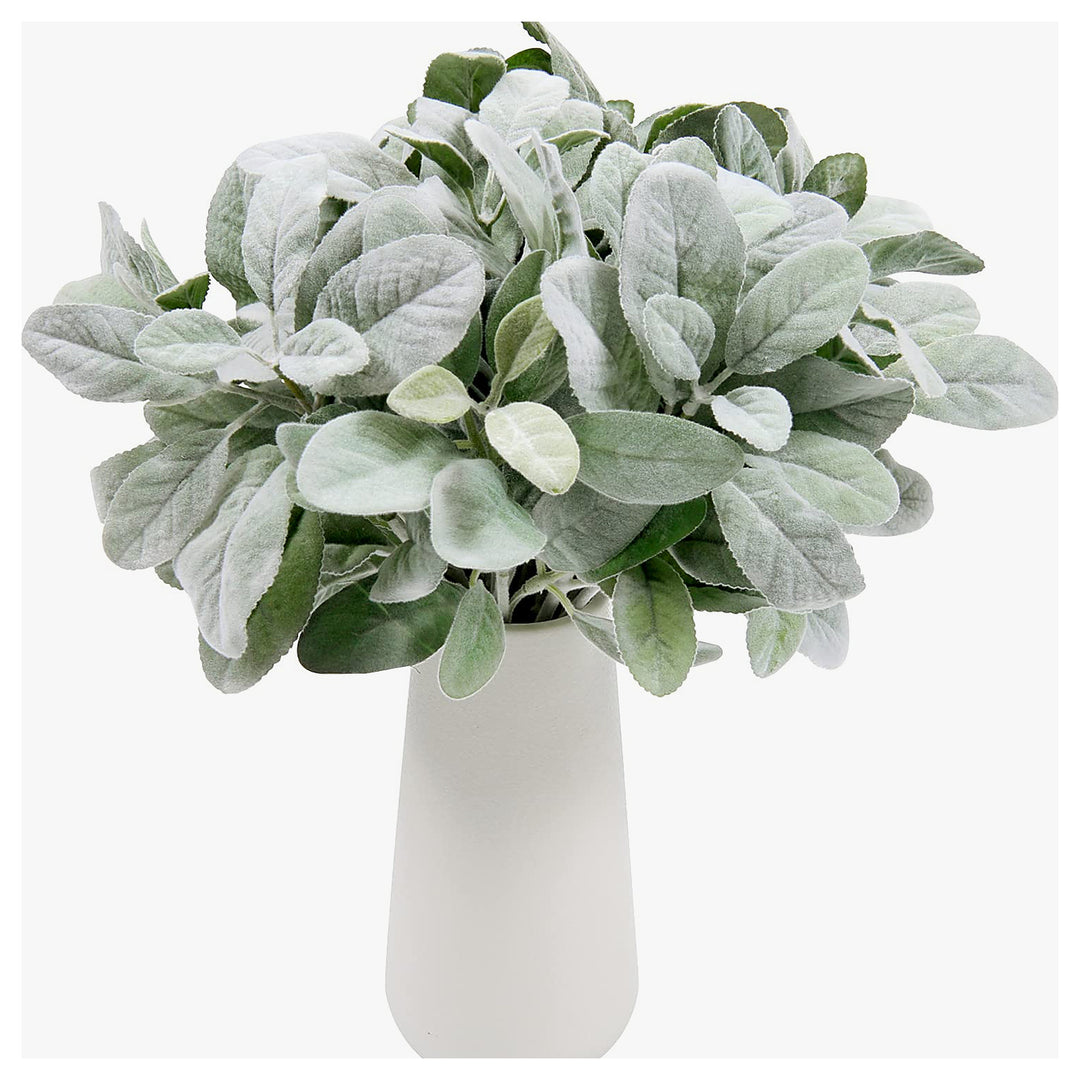Lambs Ear For Planting Stachys Byzantina For Ornamental Gardens And Flower Beds Flower Seeds for | Neera Seeds product photo [neera-v4-1dea66f4649ebe9ae7d6]