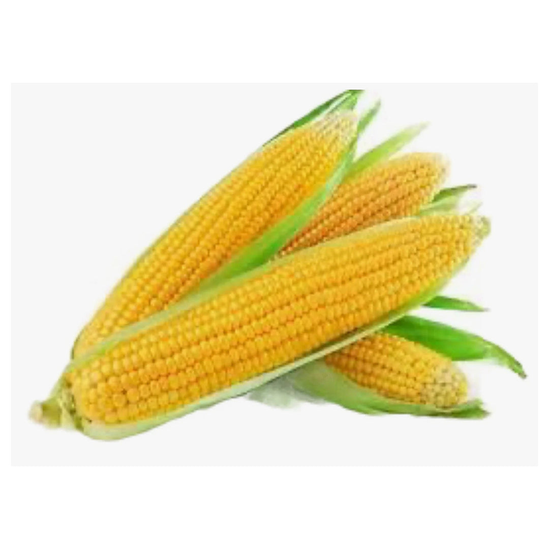 Organic Sweet Corn Seeds for Planting – High-Yield, Non-GMO Vegetable Seeds for Home Garden &amp; Farm Use | Neera Seeds product photo [neera-v4-1ee4ef1f2cc46736f233]