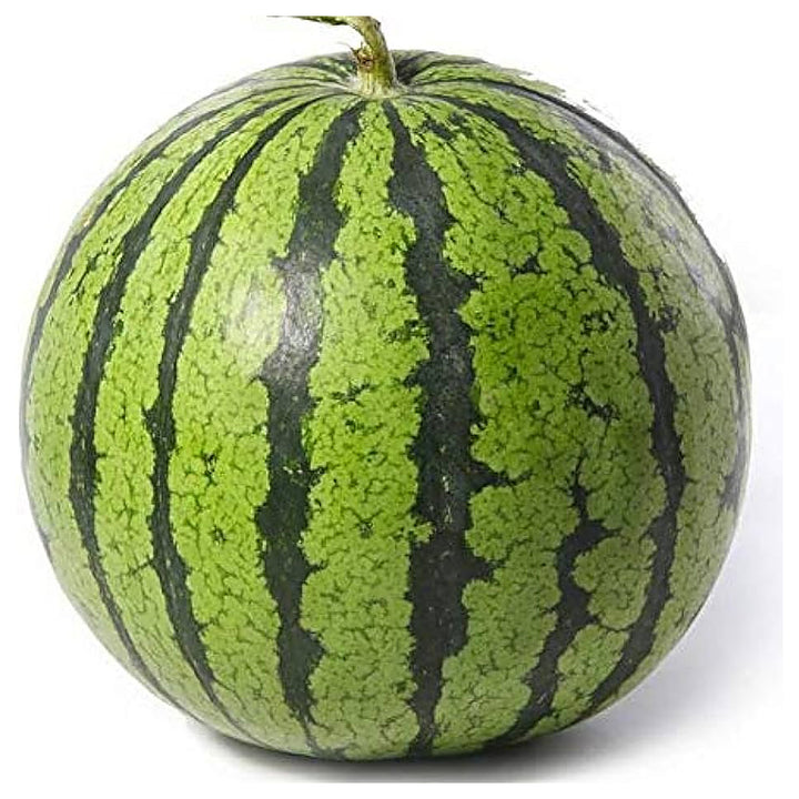 Watermelon Fruit Seeds for Planting – Sweet &amp; Refreshing Melons, 100 pcs, Heirloom &amp; Non-GMO, High Germination | Neera Seeds product photo [neera-v4-1fc47dfcbbda7c1db1b2]