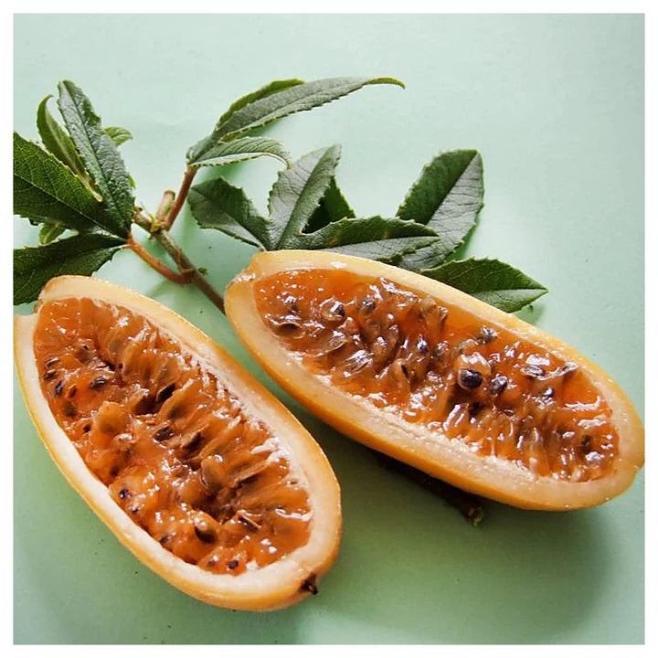 Orange Banana Passion Fruit Seeds for Planting – Sweet, Tangy Tropical Fruits, Heirloom &amp; Non-GMO Seeds for Home Ga | Neera Seeds product photo [neera-v4-216a8e2d976bc05a8652]