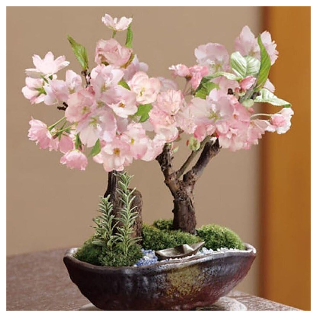 Pink White Simsii Bonsai Flower Seeds – Heirloom Non-GMO High Germination Organic Garden Seeds for Planting | Neera Seeds product photo [neera-v4-22895f4dffb2a3edc62d]