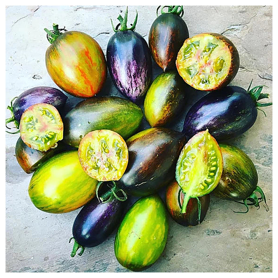 Atomic Grape Tomato Vegetable Seeds for Planting – Heirloom Non-GMO Organic Garden Seeds, High Germination | Neera Seeds product photo [neera-v4-2406f76e3b4054e593c8]
