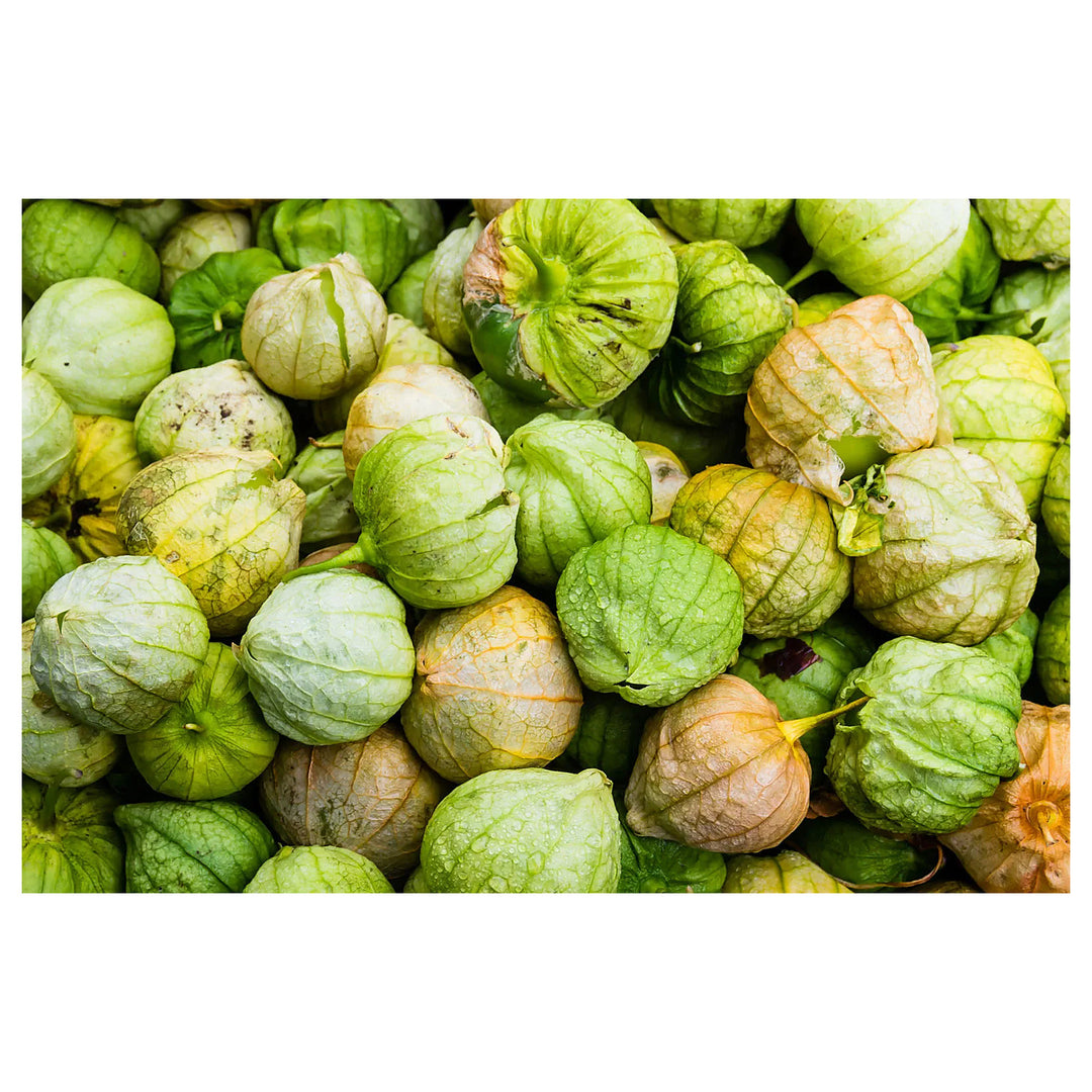 Cream Tomatillo Fruit Seeds for Planting | Heirloom Non-GMO Organic Seeds for Tangy Salsa Fruits | Neera Seeds product photo [neera-v4-248bc88812038bcaab57]