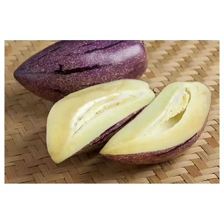 Rare Giant Purple Pepino Fruit Seeds (Solanum muricatum) – Sweet Melon-Like Heirloom, Non-GMO &amp; Organic Garden Seed | Neera Seeds product photo [neera-v4-258294b4066f45ddaa5e]