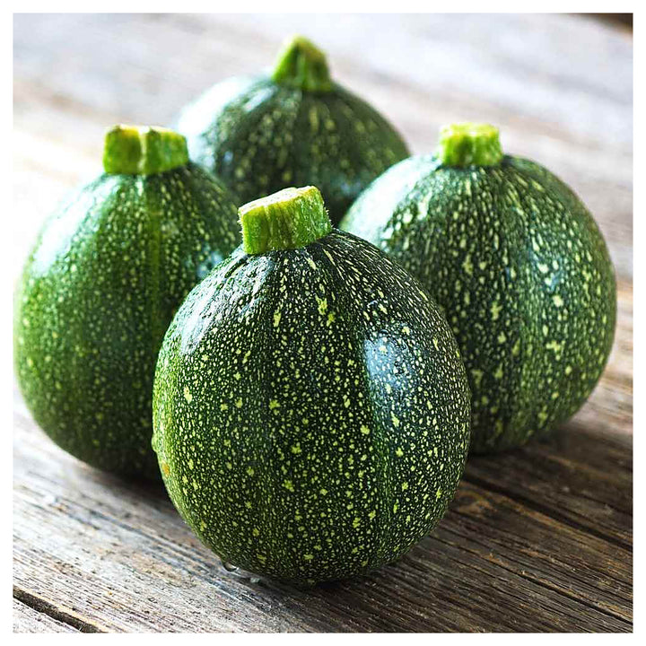 Green Round Zucchini Squash Seeds for Planting – Heirloom, Non-GMO, High-Yield Summer Vegetable Seeds | Neera Seeds product photo [neera-v4-279c6f1ca4110d3c1a10]