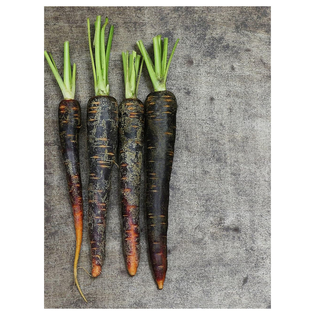 Black Carrot Seeds for Planting – Heirloom, Non-GMO, Organic Garden Seeds, High Germination | Neera Seeds product photo [neera-v4-285f5d4211e1c8f89b31]