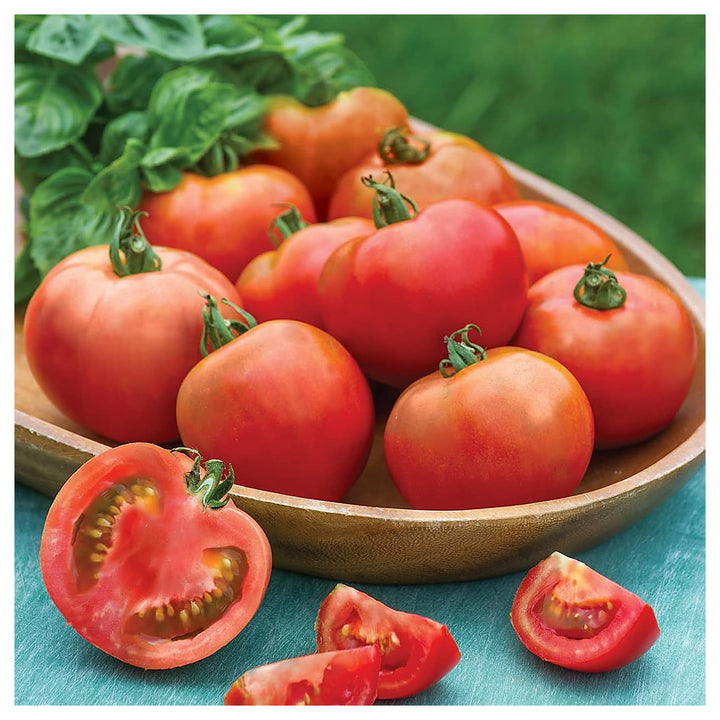 Burpee Celebrity Hybrid Red Tomato Seeds for Planting – Heirloom, Non-GMO, High Germination Vegetable Seeds | Neera Seeds product photo [neera-v4-2bab28248dae8b4e25e8]