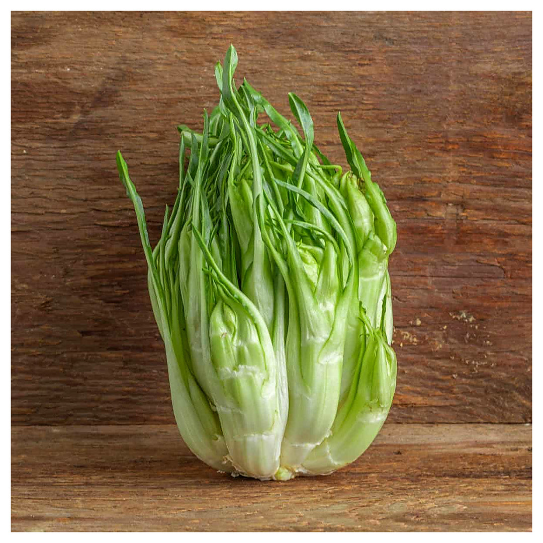 Puntarelle (Asparagus Chicory) Plant Seeds for Planting – Heirloom, Non-GMO, High Germination Vegetable Garden Seed | Neera Seeds product photo [neera-v4-2c3fa671608c4a7c588a]
