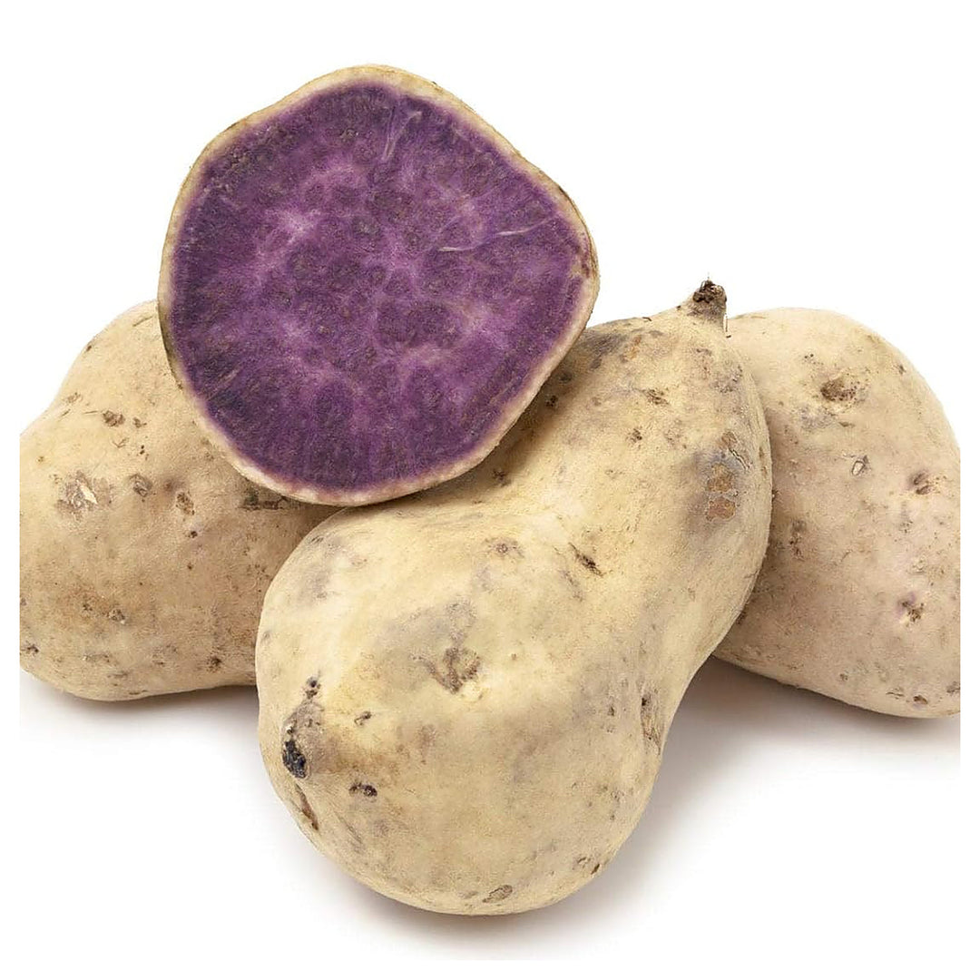 Okinawa Sweet Potato Seeds for Gardening –  Heirloom, Non-GMO, High Germination Organic Garden Seeds | Neera Seeds product photo [neera-v4-2d527be99ba663433709]