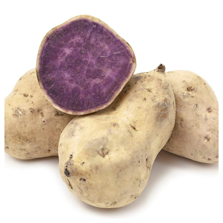 Okinawa Sweet Potato Seeds for Gardening –  Heirloom, Non-GMO, High Germination Organic Garden Seeds | Neera Seeds product photo [neera-v4-2d527be99ba663433709]