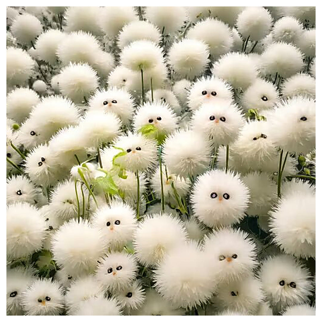 White cat&