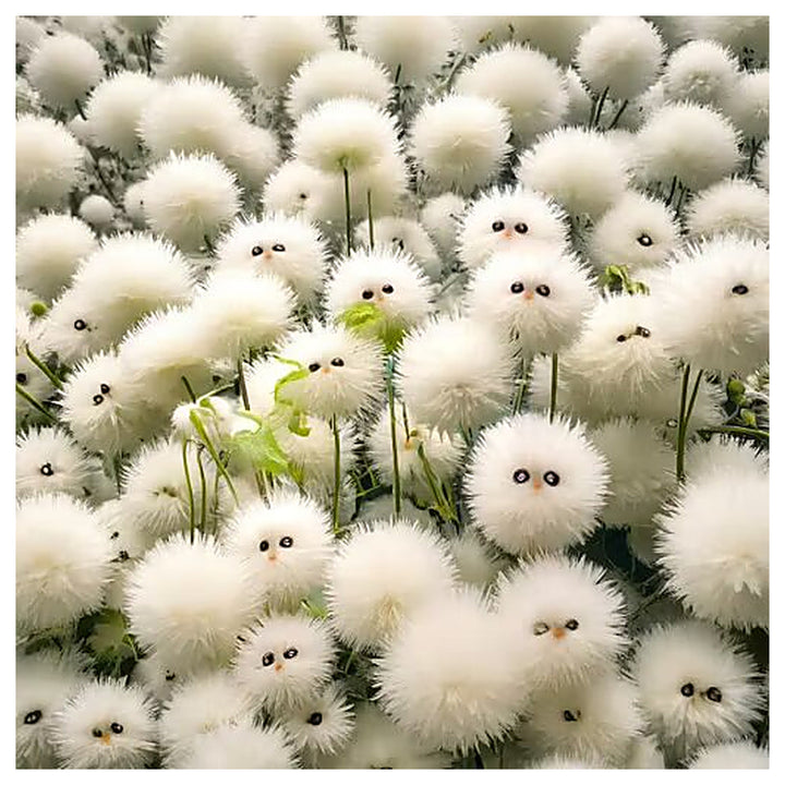 White cat&