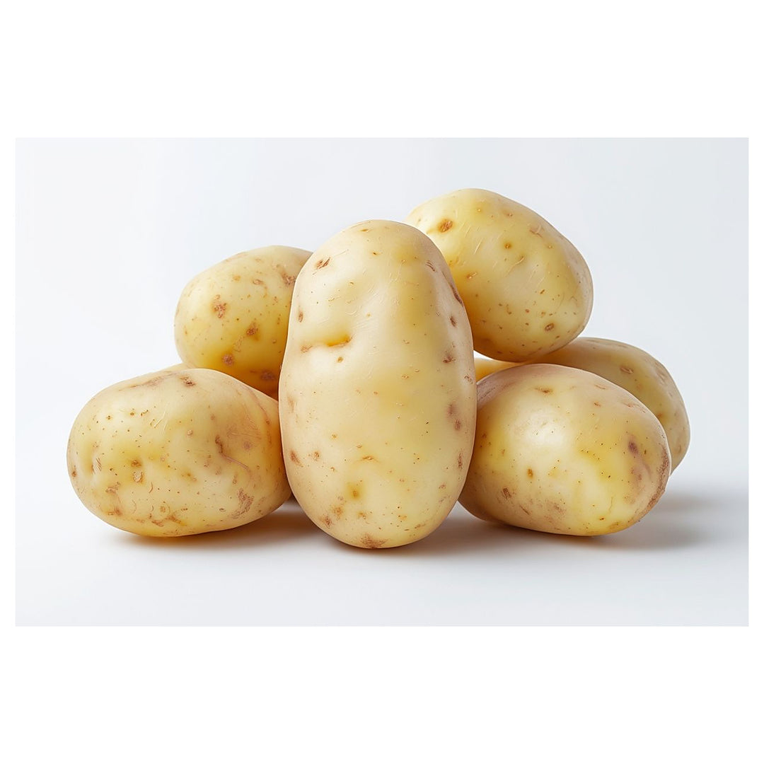 Cream Potato Vegetable Seeds for Planting – Heirloom, Non-GMO, High Germination Organic Garden Seeds | Neera Seeds product photo [neera-v4-2eb5e1c4991973453e4e]