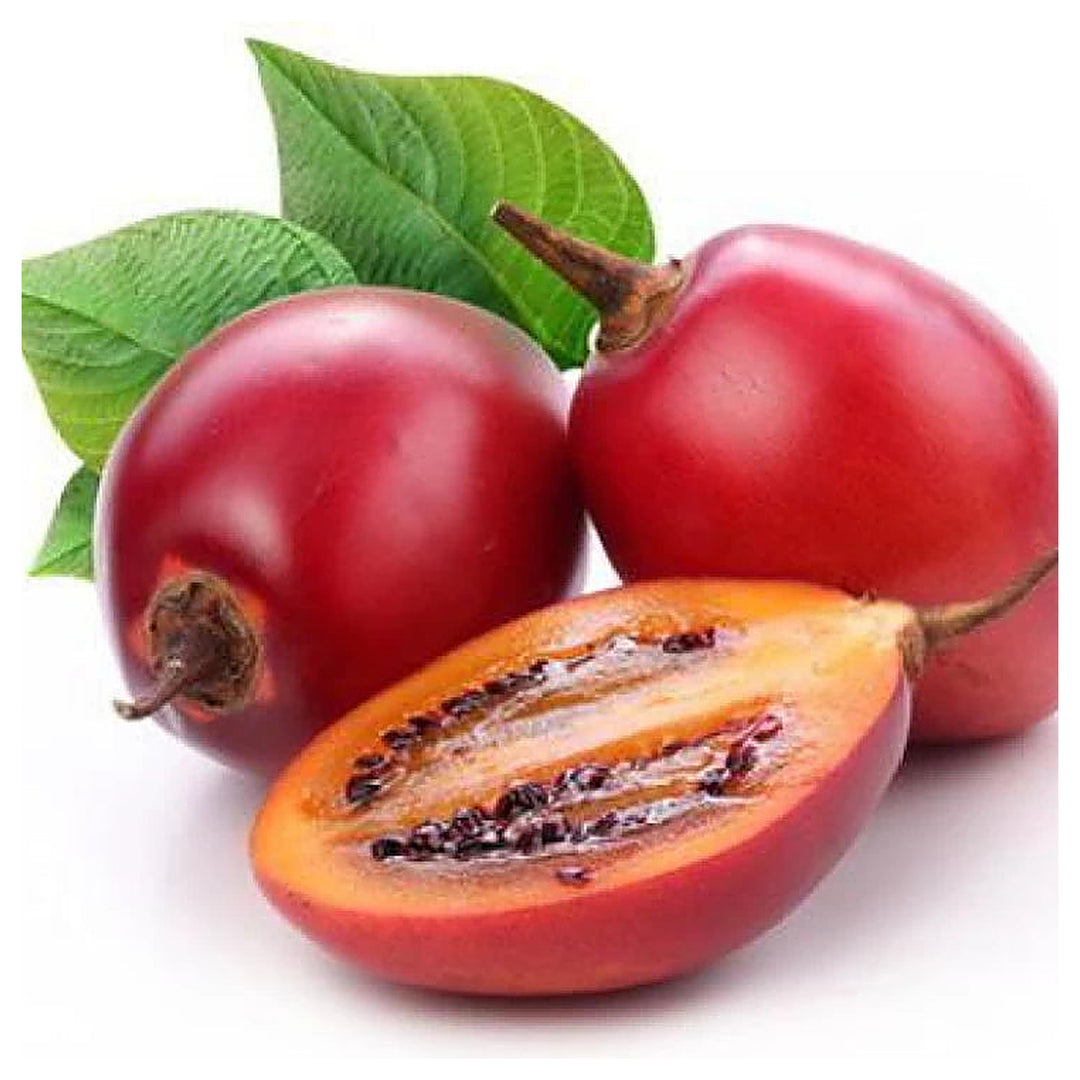 Red Tamarillo Fruit Seeds – Exotic, Sweet Trees, Heirloom & Non-GMO Seeds for Home Garden Planting | Neera Seeds product photo [neera-v4-322793fdd52c8c65b0f3]