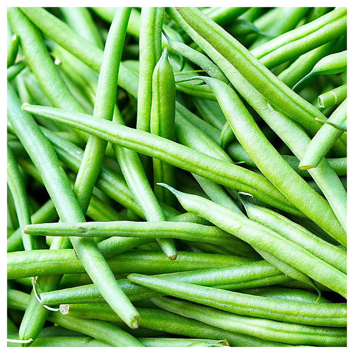 Pole Bean Seeds for Planting – High Yield, Non-GMO Climbing Green Beans for Home Garden and Vertical Growing | Neera Seeds product photo [neera-v4-327a67e4cee4420811b3]