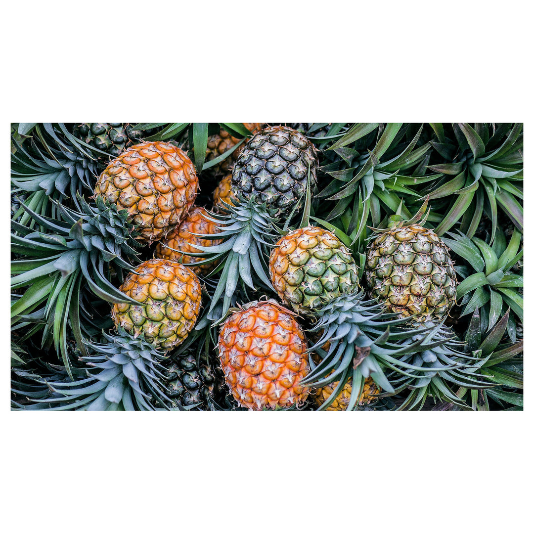 Orange-Green Pineapple Fruit Seeds – Grow Unique, Vibrant Pineapples for Stunning Garden Displays | Neera Seeds product photo [neera-v4-345589ec2e6a29917181]