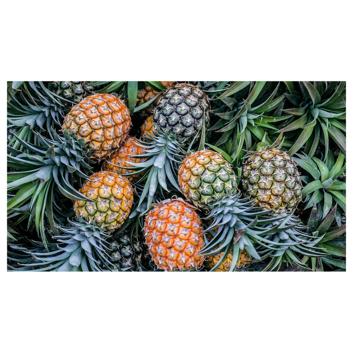Orange-Green Pineapple Fruit Seeds – Grow Unique, Vibrant Pineapples for Stunning Garden Displays | Neera Seeds product photo [neera-v4-345589ec2e6a29917181]