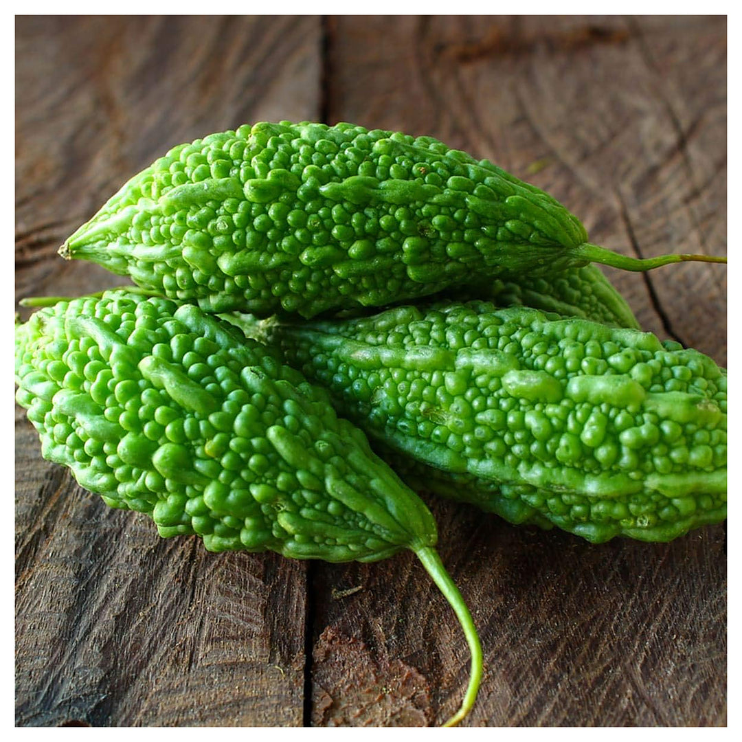 Bitter Melon Seeds for Home Garden – Heirloom, Non-GMO, High Germination Organic Garden Seeds | Neera Seeds product photo [neera-v4-364349a781eb3f4d10e3]
