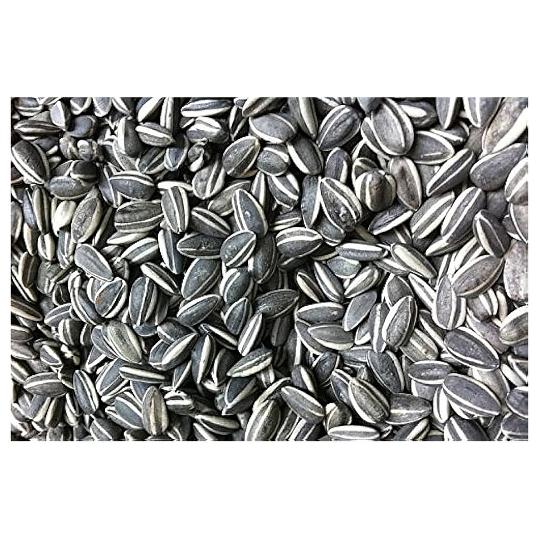 Sunflower For Planting Flower Seeds for Home Garden Planting, Colorful Organic Blooming Collection | Neera Seeds product photo [neera-v4-36bce2422e28c8602de3]