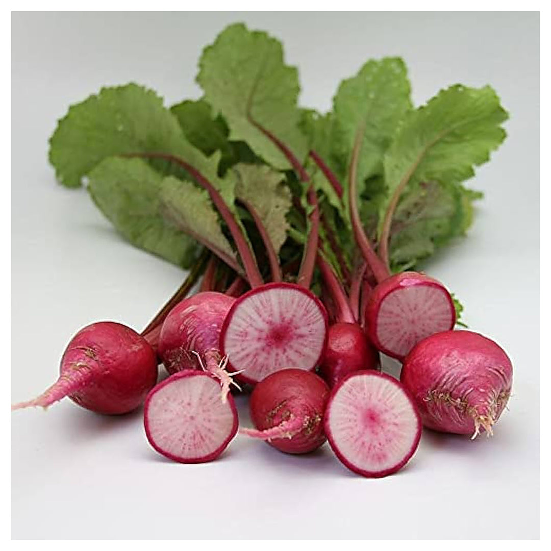 Red Turnip Vegetable Seeds for Planting – Heirloom, Non-GMO, Organic Garden Seeds, High Germination Root Vegetable | Neera Seeds product photo [neera-v4-37471d29f344ea7467ea]