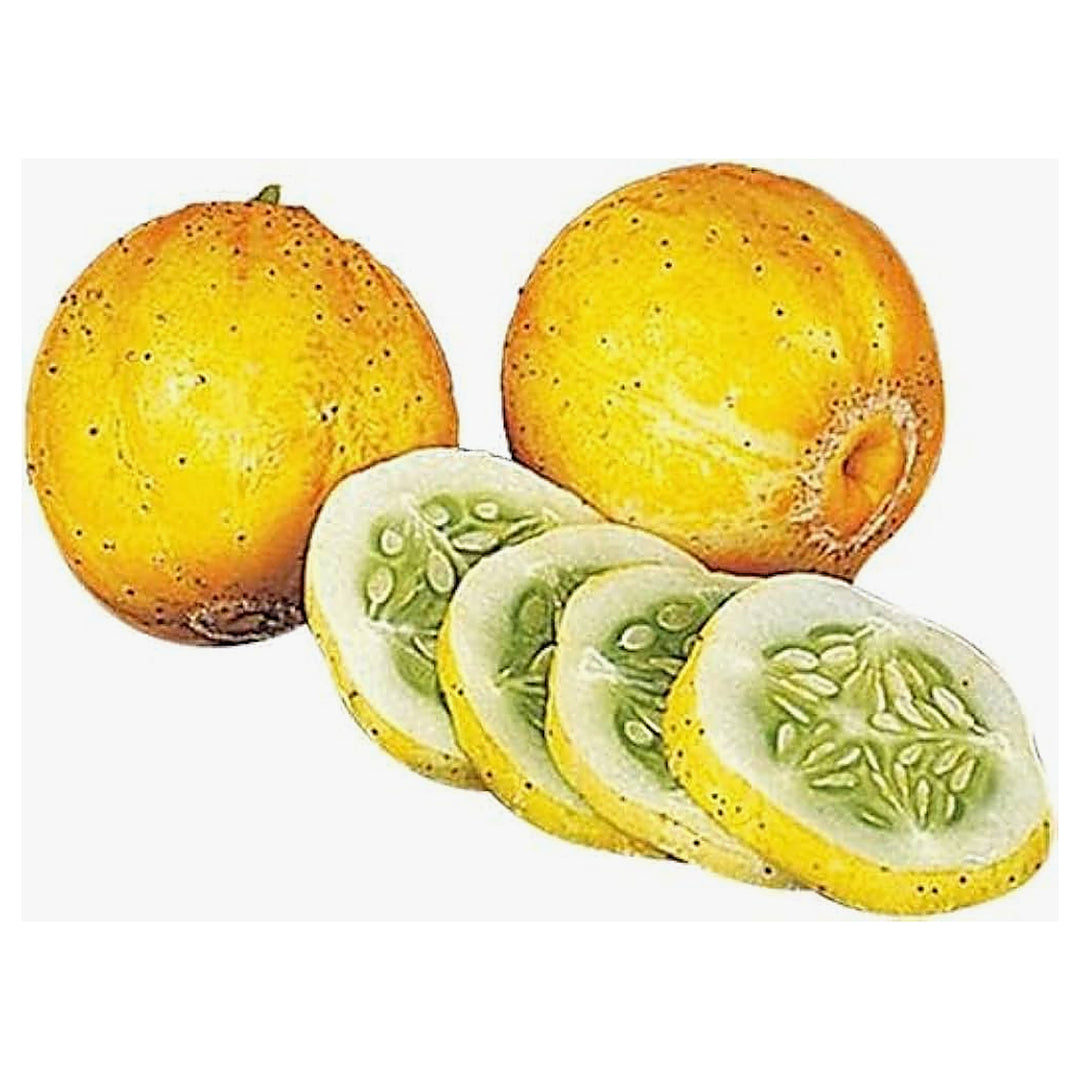 Lemon Cucumber Seeds for Planting – Heirloom, Non-GMO, High Germination Organic Garden Seeds for Home Vegetable Gro | Neera Seeds product photo [neera-v4-39f9a5fe93509fecda67]