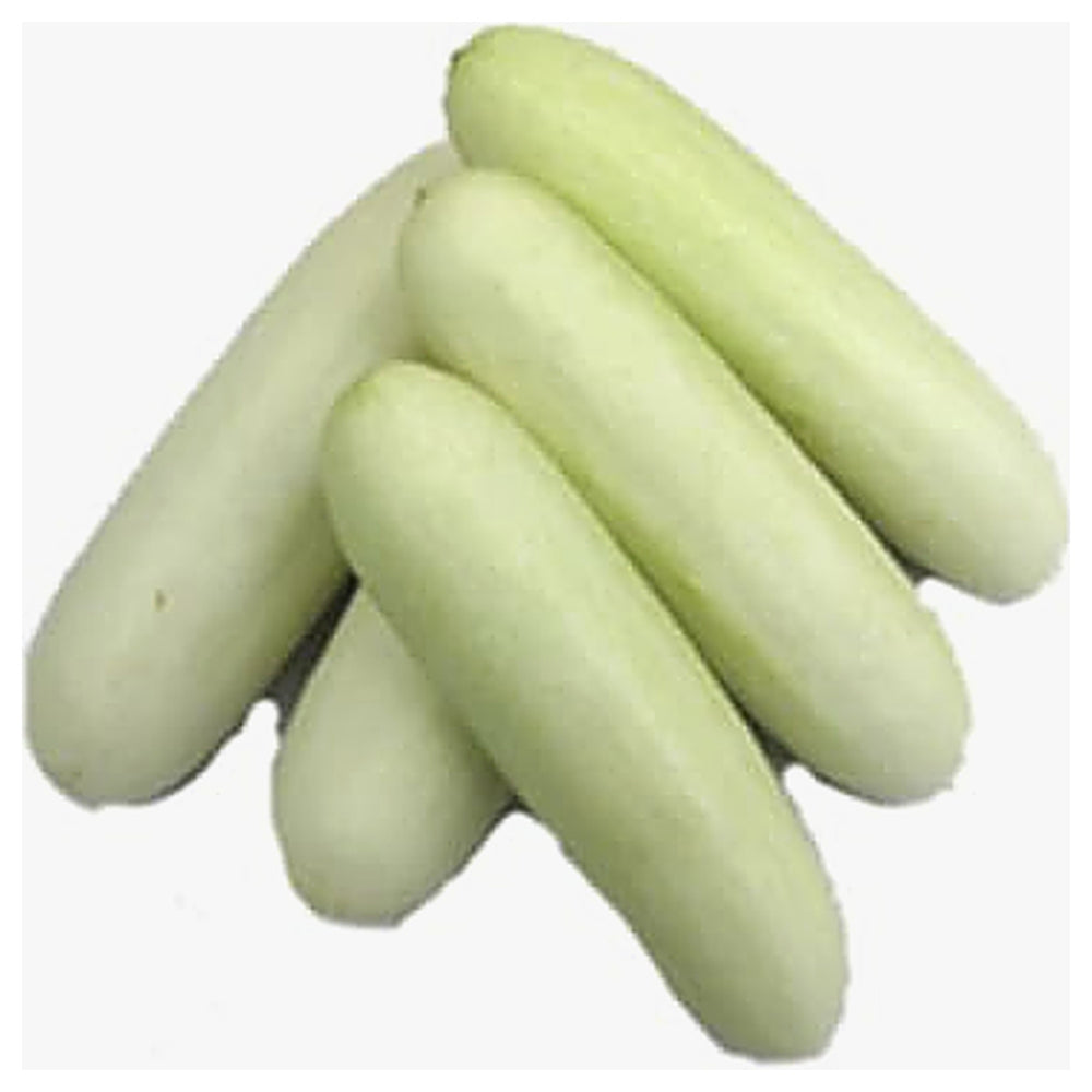 Indian White Cucumber Seeds for Planting – Heirloom, Non-GMO, High-Yield Vegetable Seeds for Home Garden | Neera Seeds product photo [neera-v4-3b818d17bb224a0c7fb1]