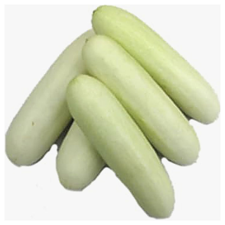 Indian White Cucumber Seeds for Planting – Heirloom, Non-GMO, High-Yield Vegetable Seeds for Home Garden | Neera Seeds product photo [neera-v4-3b818d17bb224a0c7fb1]