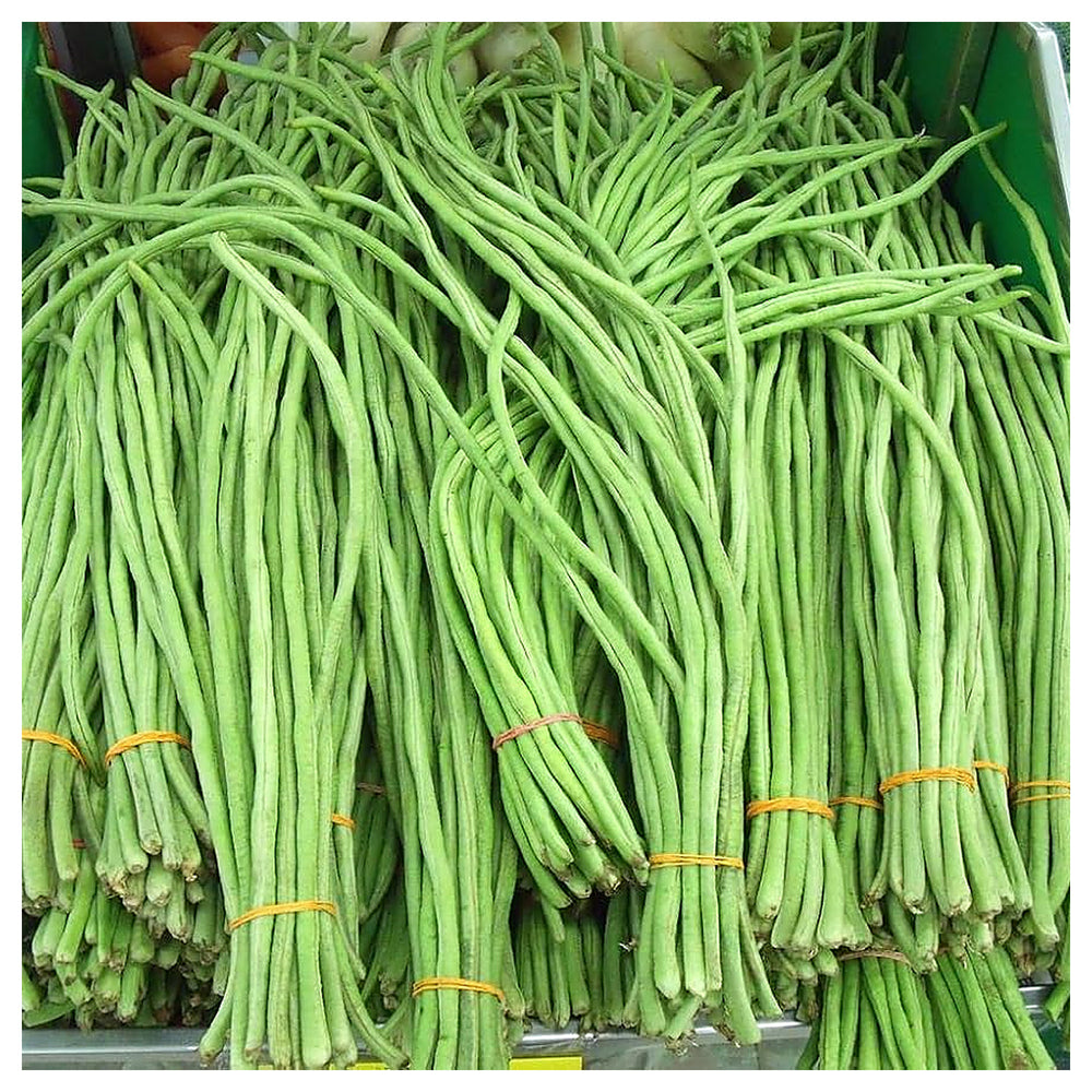 Snake Bean Vegetable For Planting Flower Seeds for Home Garden Planting, Ornamental Organic | Neera Seeds product photo [neera-v4-3beb46a5a345a3686ef8]