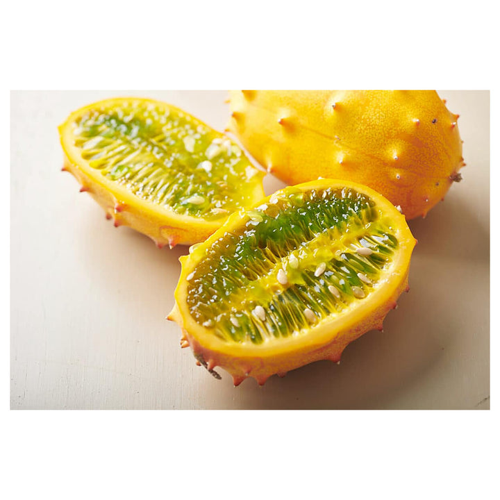 Yellow Kiwano Melon Fruit Seeds for Planting | Heirloom Non-GMO Organic Seeds for Unique, Spiky Garden Melons | Neera Seeds product photo [neera-v4-3d94f513635c13dd7c84]