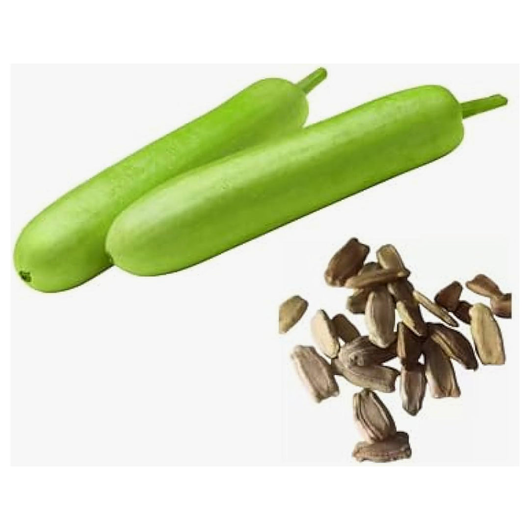 Bottle Gourd Lagenaria Siceraria Vegetable For Planting In Vegetable Patch Flower Seeds for Home | Neera Seeds product photo [neera-v4-3f4c67ef3b904d8f2332]