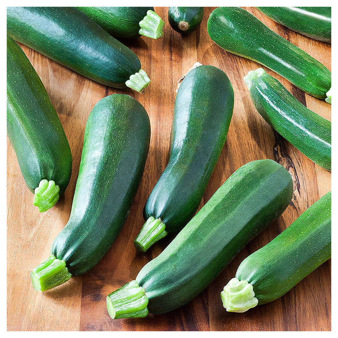 Zucchini Black Beauty Seeds – High Yield, Fast-Growing Summer Squash for Home Garden | Neera Seeds product photo [neera-v4-4020252fff98c86acd61]